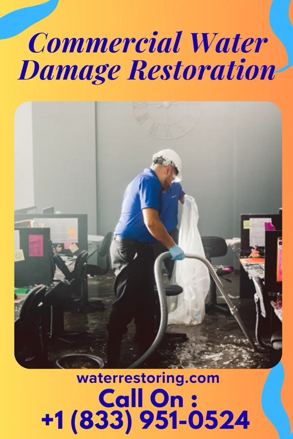Commercial Water Damage Restoration in Rebecca, GA