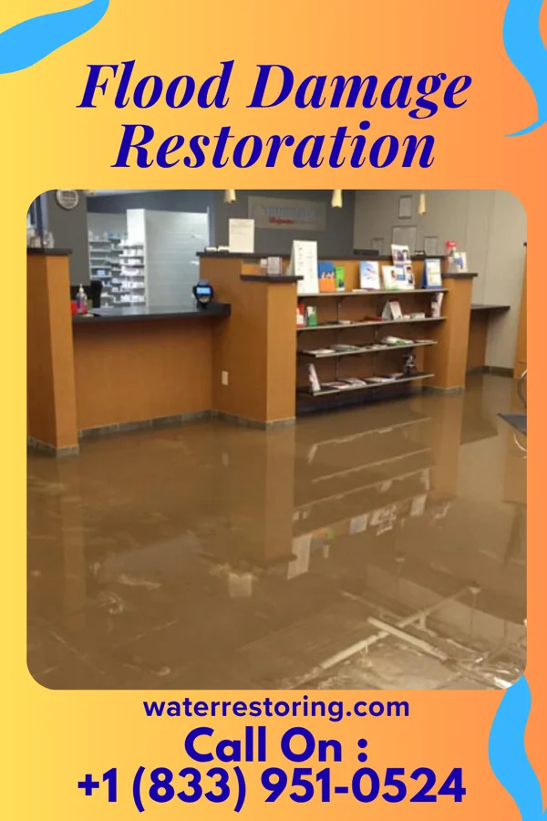 Flood Damage Restoration in Rebecca, GA