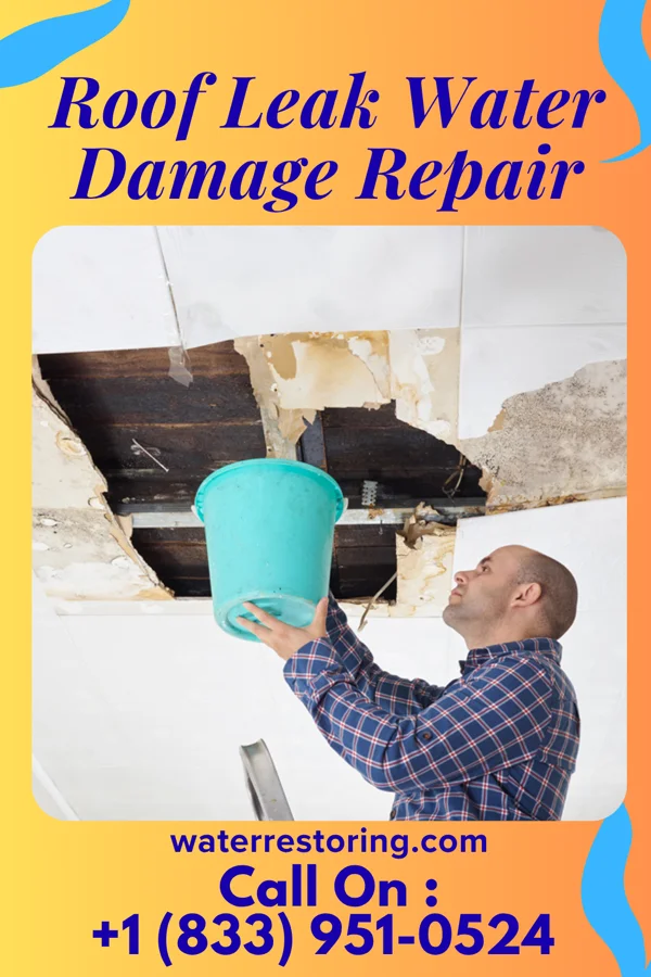 Roof Leak Water Damage Repair in Rebecca, GA
